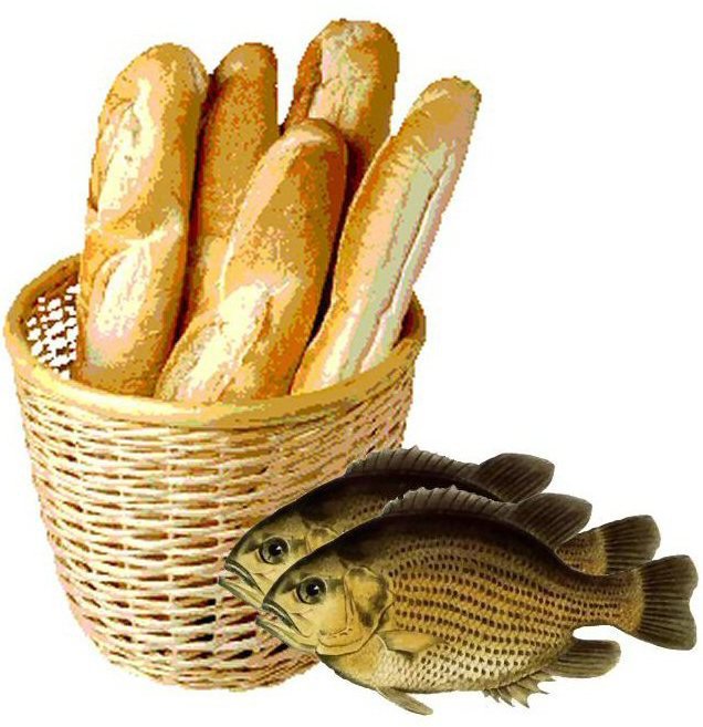 The Florida Keyes! Five Loaves & Two Fishes