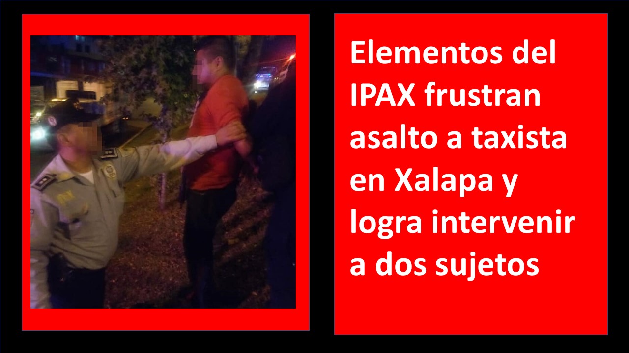 Elementos del IPAX