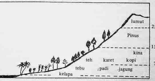 Sejarah Populer Pembagian Iklim Menurut Junghun