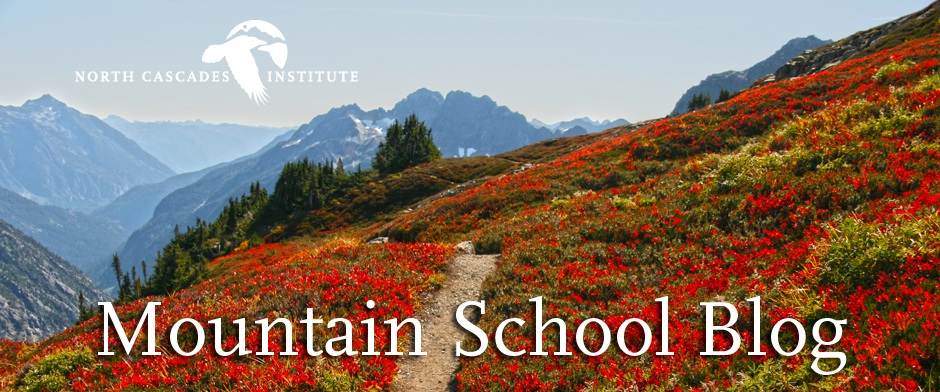 Mountain School