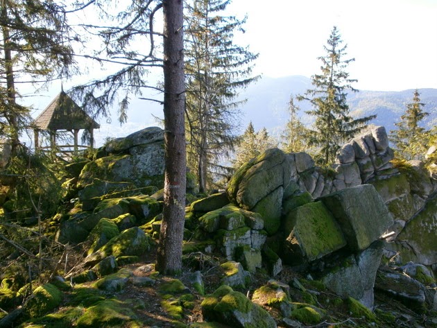 Der Schwarzwald und seine Natur Hohe Schaar ein Felsen und