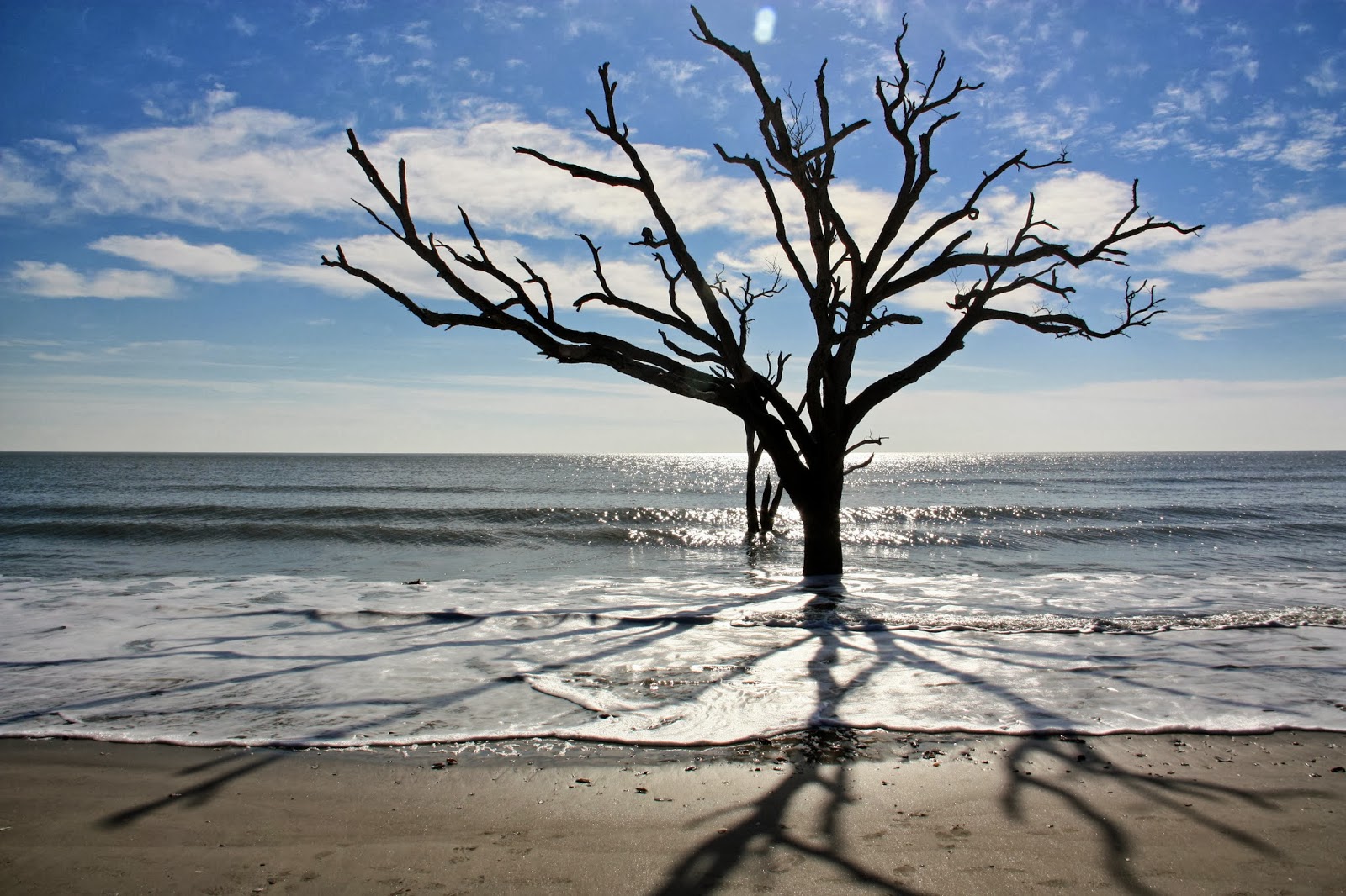 Botany+Bay+Winter+1.jpg