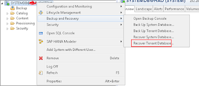 SAP HANA System Copy- Homogeneous On Multi Tenant Database SAP HANA Tutorials and Materials, SAP HANA Certification, SAP HANA Database