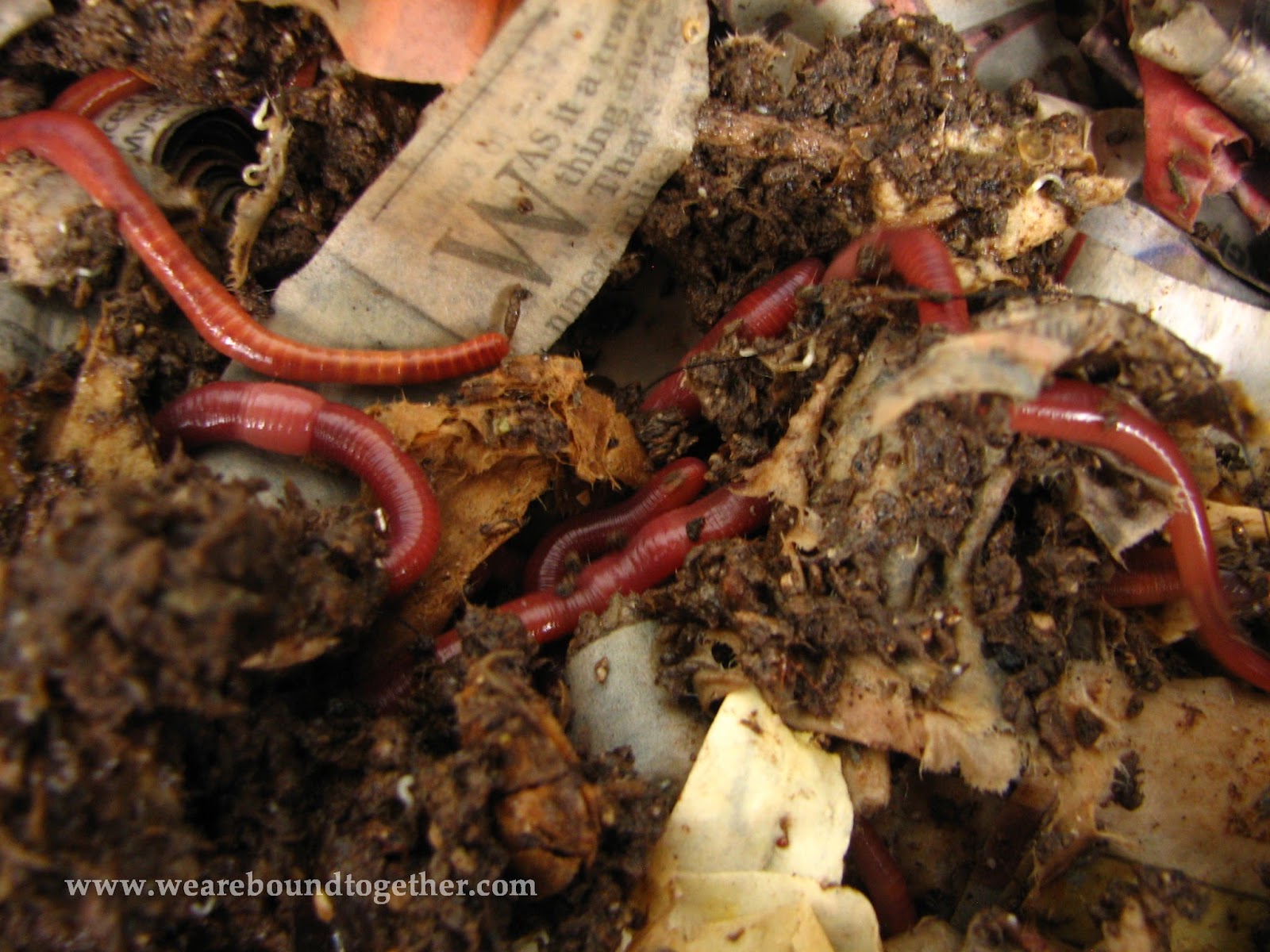 W.E.S.T Winnipeg Etsy Street Team Tutorial Tuesday Indoor