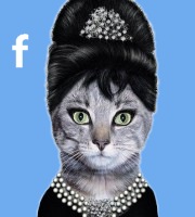 Kako mogu vidjeti ko mi gleda profil na facebooku? 4 NOVA NAČINA
