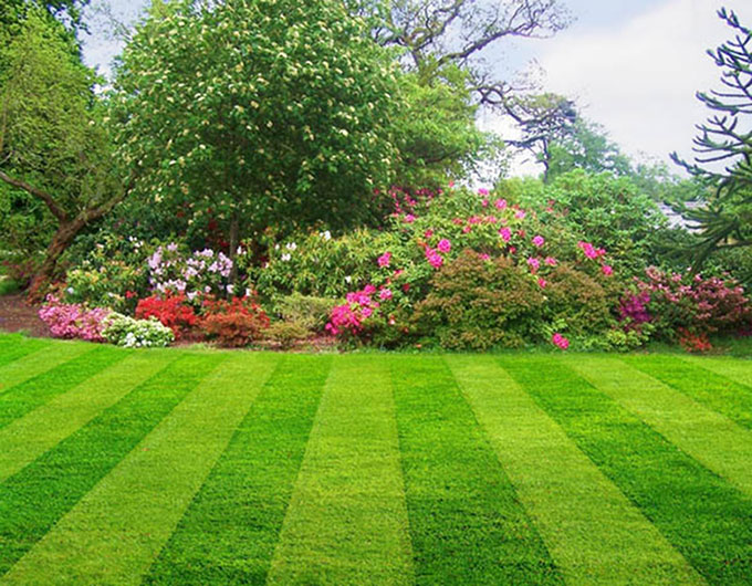 toolers quotes lawn care quotes
