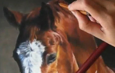 Speed Painting - horse portrait in pastel
