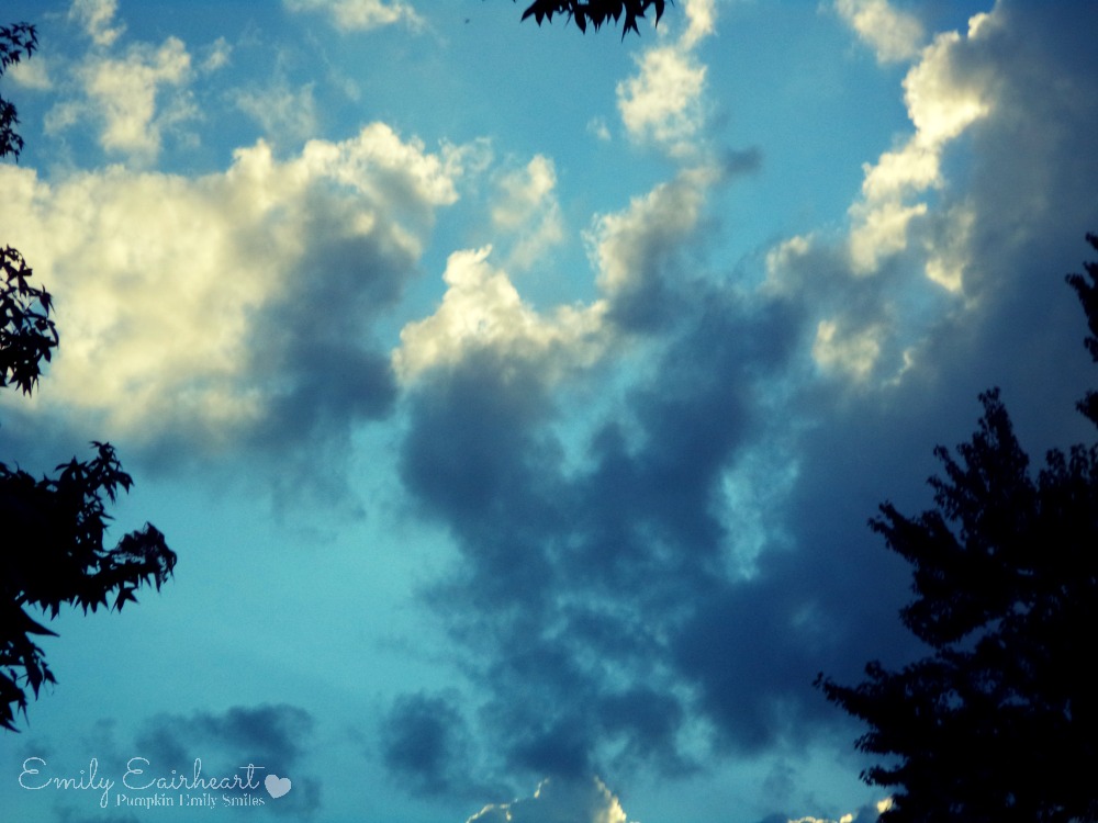 Clouds that looks like a bird and a snake.