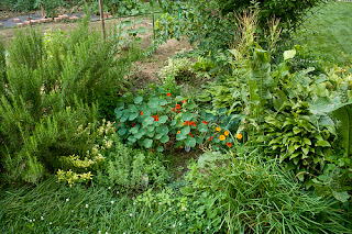 image credit: <a href="https://www.flickr.com/photos/73645804@N00/3677498528">Secret Summer Herb Garden</a> via <a href="http://www.imageslike.com">free images</a> <a href="https://creativecommons.org/licenses/by/2.0/">(license)</a>