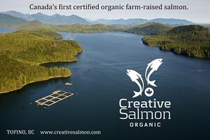 Creative Salmon Organic