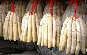 Membuat Mol Yakult | membuat bakteri cair mol dari tape dan tempe Membuat Mol Yakult | membuat bakteri cair mol dari tape dan tempe
