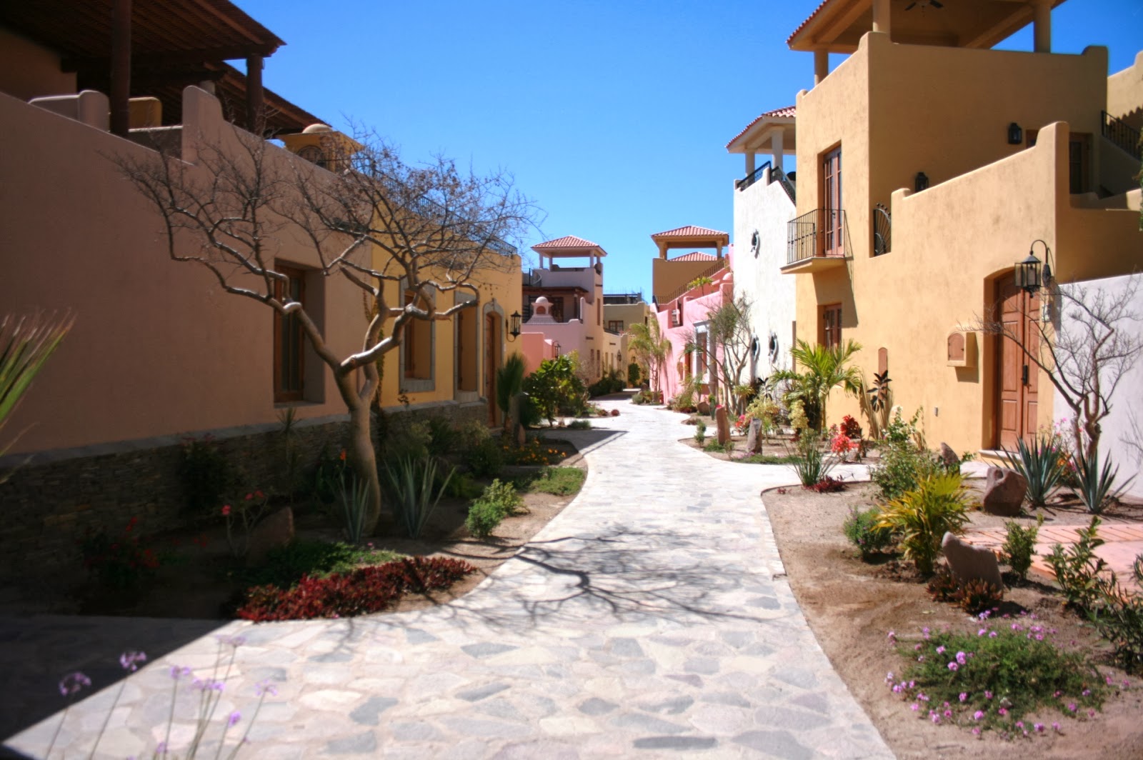 Living Loreto Condominium Responsibility Loreto Style