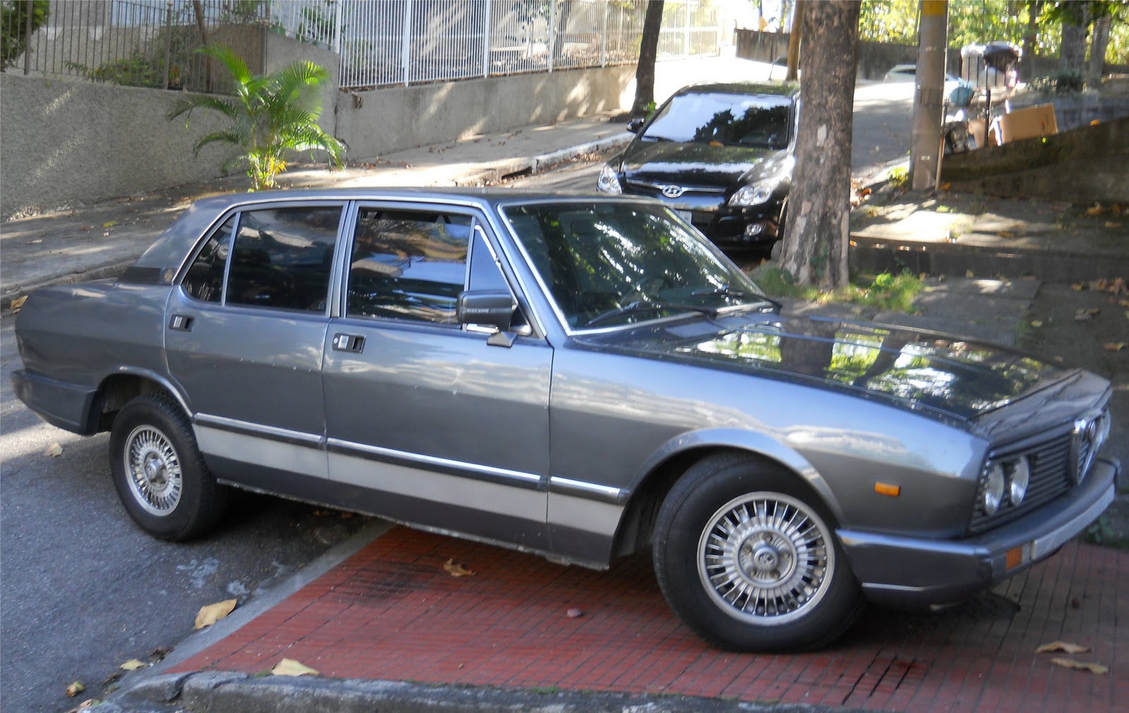 Registros Automotivos do Cotidiano Alfa Romeo 2300 1986