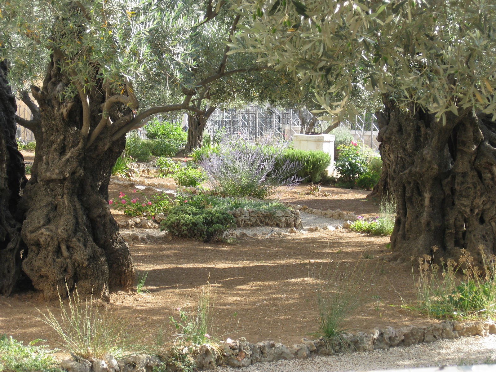 Simple Sweet Blessings The Garden of Gethsemane