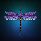 Everyone's Talking: Dragonflies