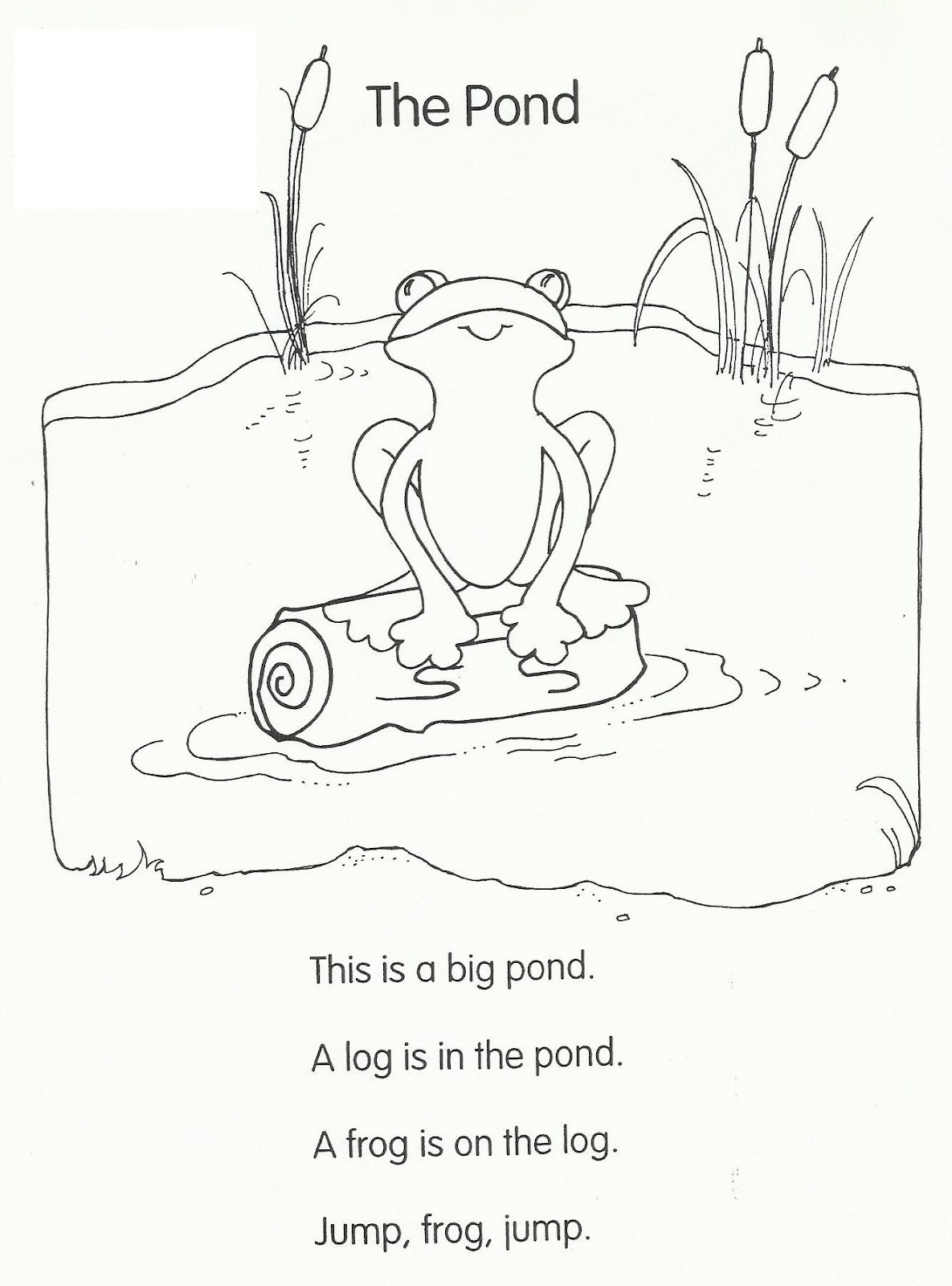 Lily Pad Coloring Page Lily Pad Coloring Page