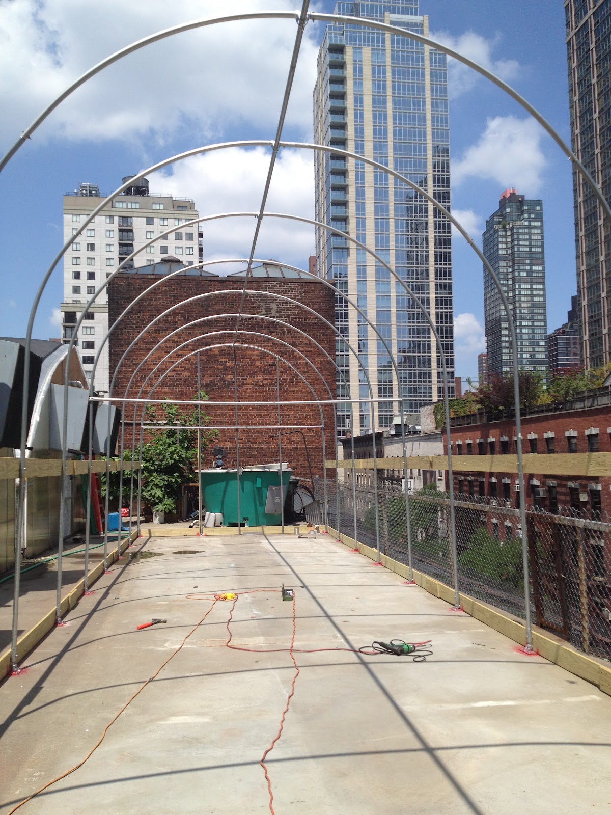 Have You Ever Picked A Carrot? Rooftop Greenhouses in Manhattan The