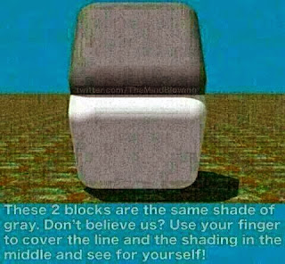 Optical illusion same color Boxes