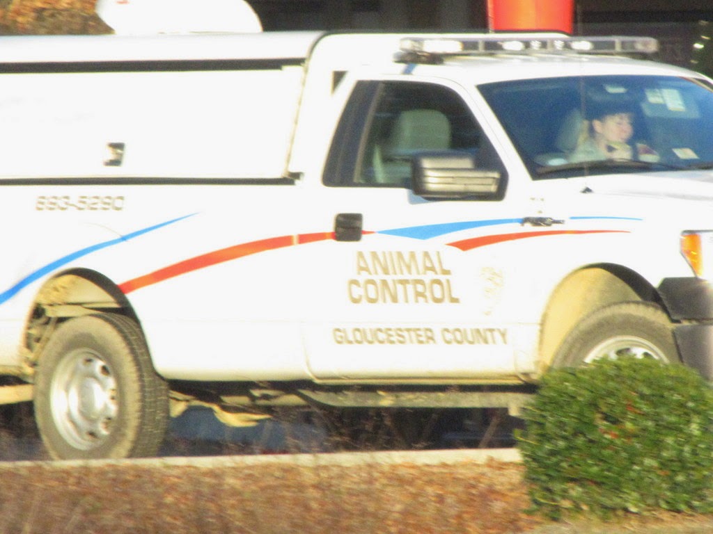 Gloucester VA Links and News Gloucester, Virginia Animal Control Still