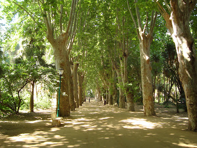 حديقة التجارب بالحامة الجزائر العاصمة jardin d'essai +(15)