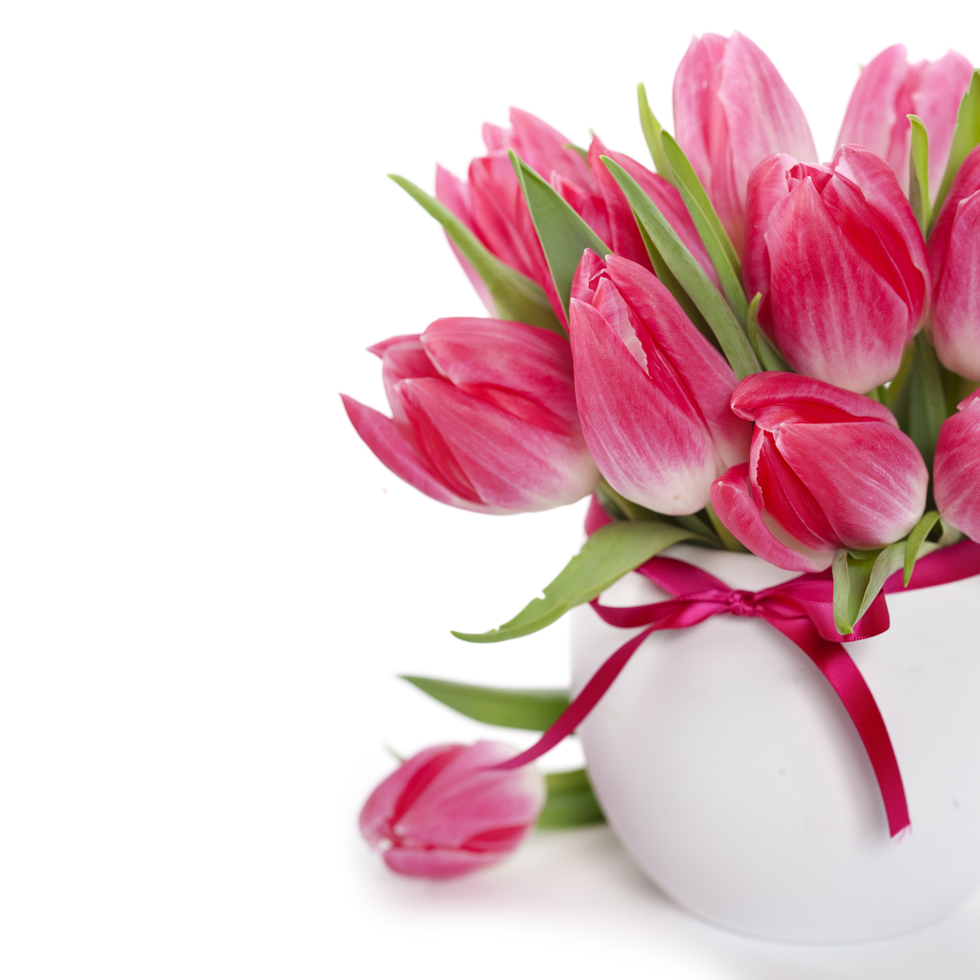 targetas de flores