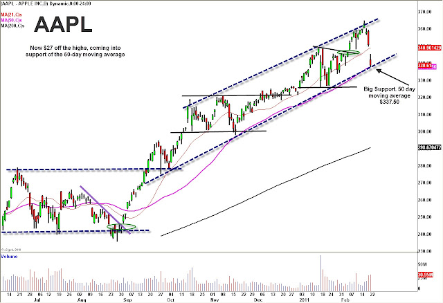 AAPL+2_23_11.JPG
