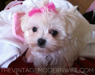 The Vintage Modern Wife & Apartment Guide Bring You: Pearl's Party Palace www.thevintagemodernwife.com