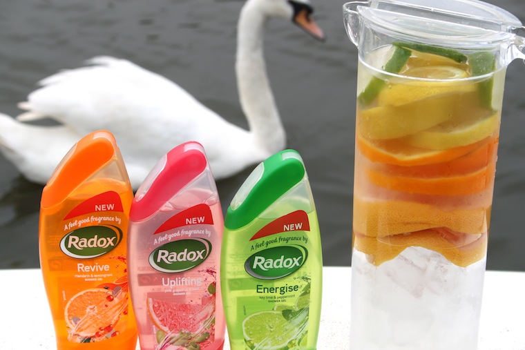 the beauty series uk beauty blog radox citrus shower gels