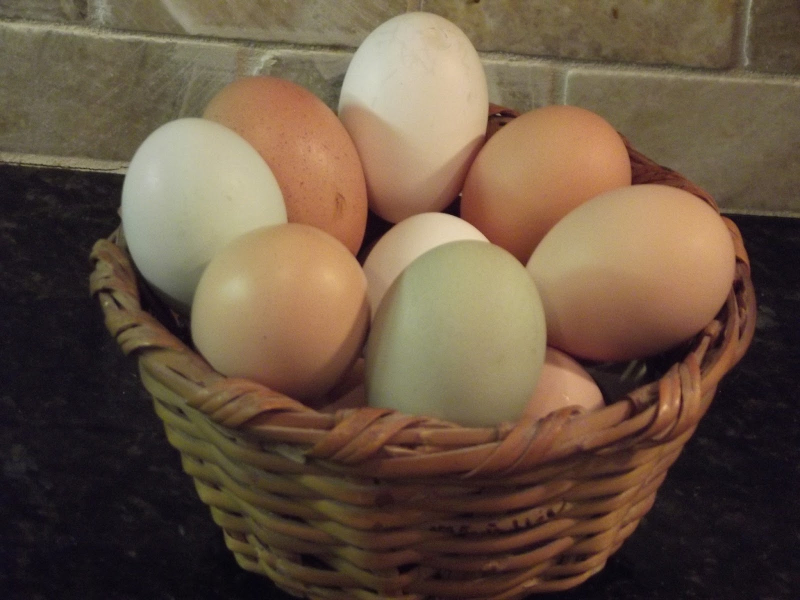 Love Those Wide Open Spaces The Beauty of Pastured Chicken Eggs