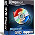 Bigasoft DVD Ripper 3.2.3.4772 Free