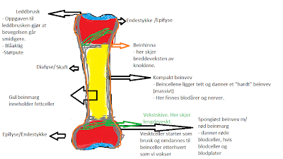 klump i skjedeåpningen norske nakenbilder påt klump i skjedeåpningen norske nakenbilder påt