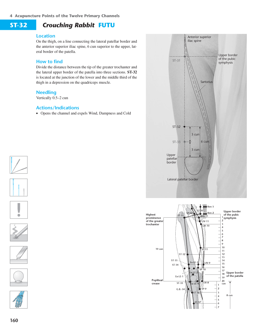 Acupuncture Masters Acupuncture Points Database Stomach channel