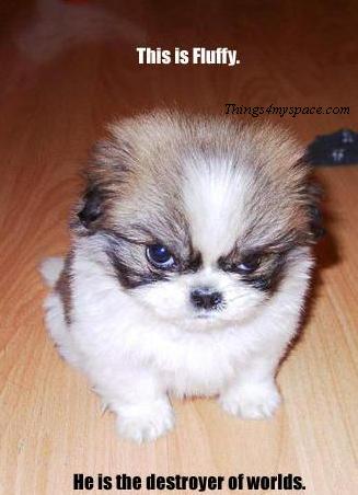 Sayings � Cute funny Sayings � Cute funny