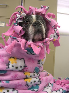 Hello Kitty pet dog blanket