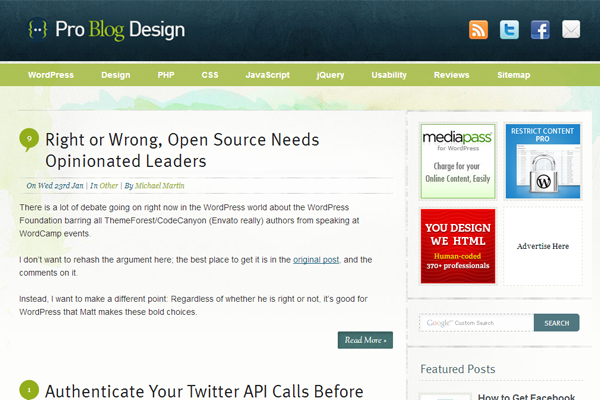 Pro Blog Design Pro Blog Design