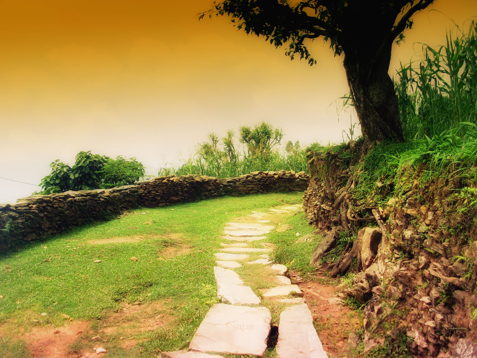 Free Desktop Background Wallpapers ~ Wallpaper Gallery