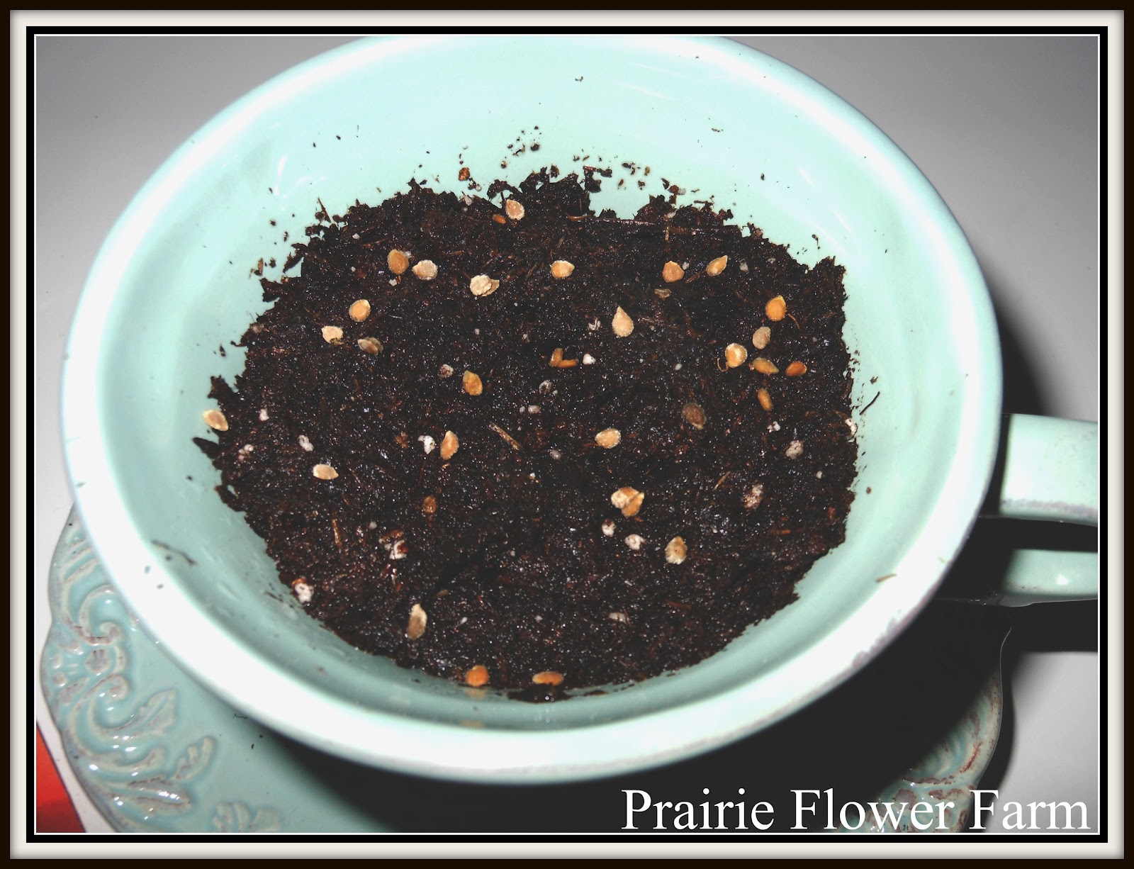 Prairie Flower Farm LITTLE ONES!!!!!!!