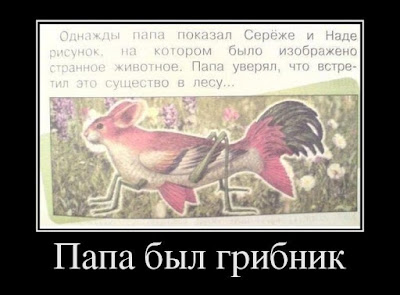 Погода в селе берёзовка краснощёковского района
