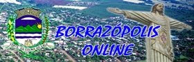 Borrazópolis Online