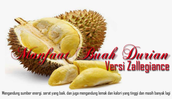 9 Manfaat Yang Terkandung Dari Buah Durian 9 Manfaat Yang Terkandung Dari Buah Durian