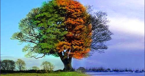 ఋతు సంధి....Seasons...Entwine