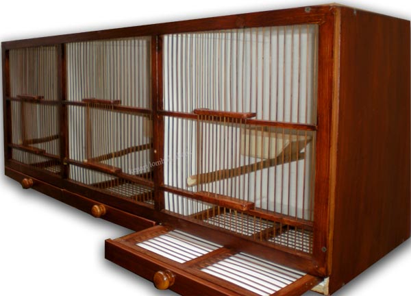 Diposkan Oleh Lombok Abank Bird Cage Tidak Ada Komentar Diposkan Oleh Lombok Abank Bird Cage Tidak Ada Komentar