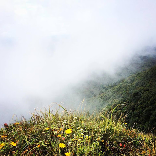 Cima del Parque Nacional Amboró - Samaipata Bolivia