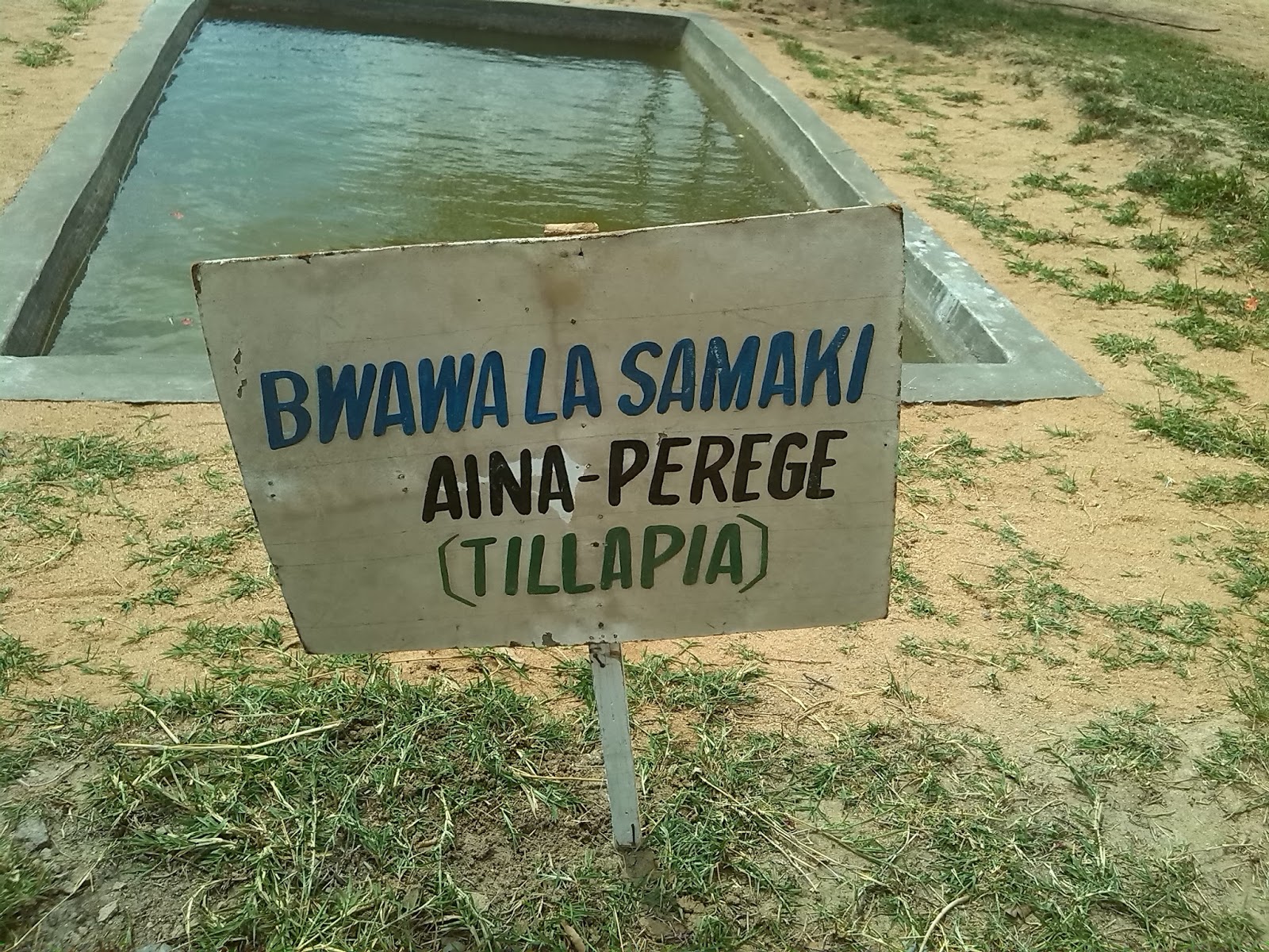 Business plan ya ufugaji wa samaki 07 picture