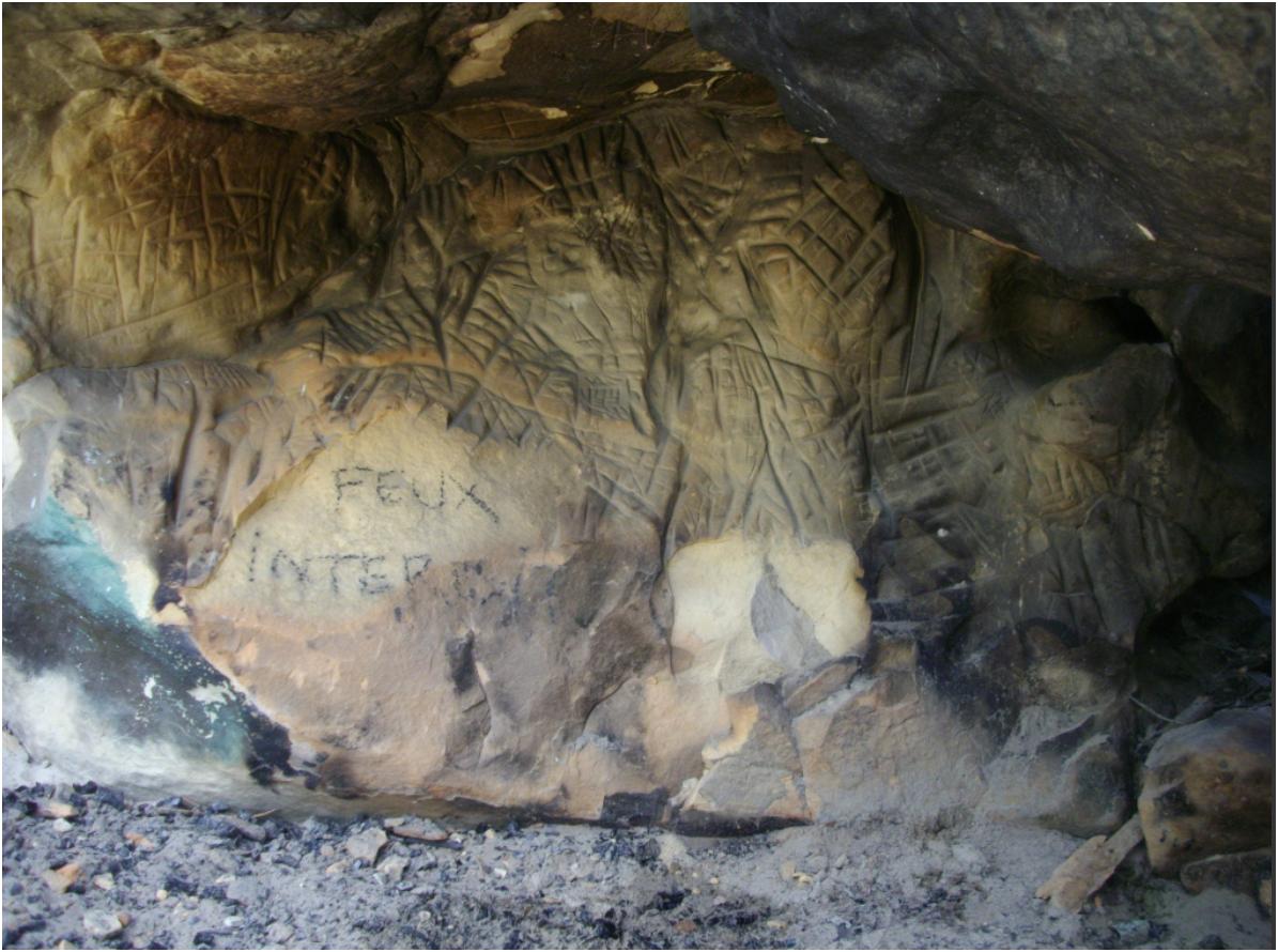 prostituées foret de fontainebleau