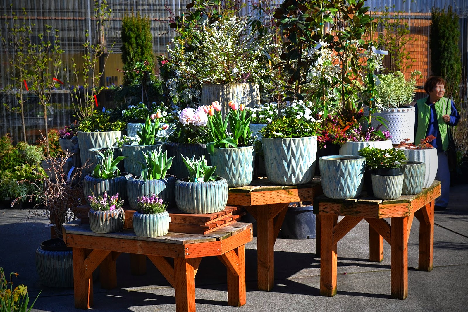 The Outlaw Gardener Visiting Portland Nursery on Stark
