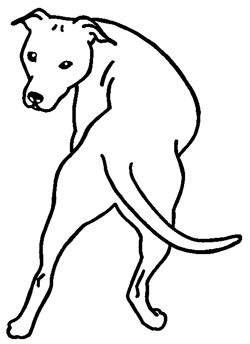 Dibujos de perros pitbull para imprimir - Imagui