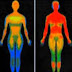 Are We Endogenous Light? Exploring Vibrational Medicine: The Theory Behind a Truly Amazing Lecture by Dr. Richard Gerber, MD