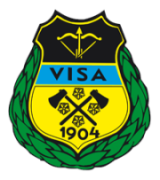 IISALMEN VISA RY