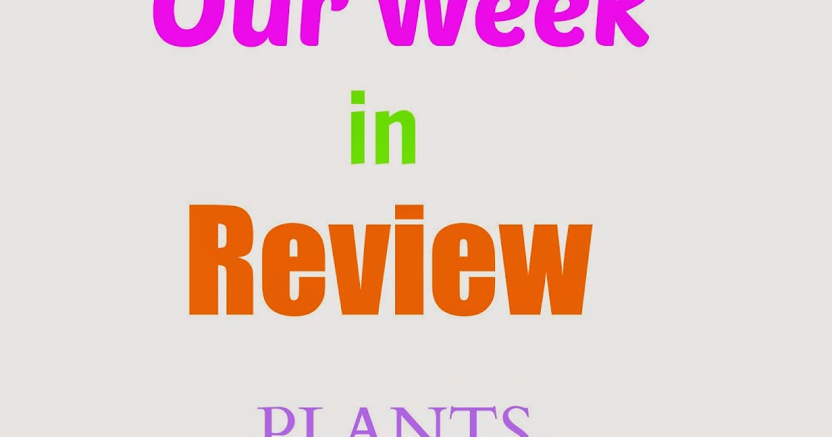 Stacy Sews and Schools Our Week in Review Plants